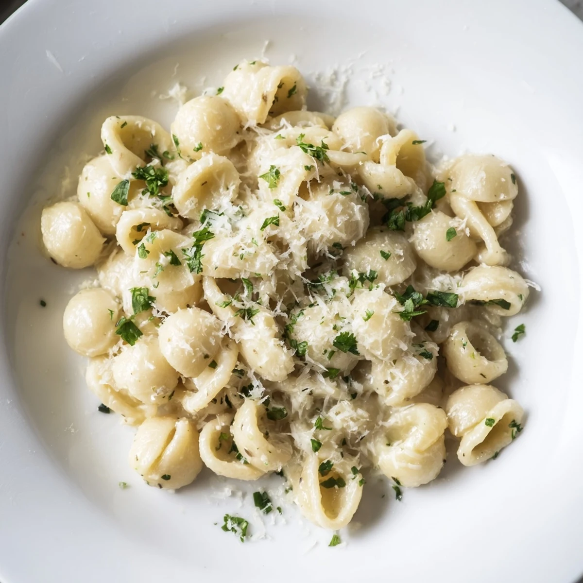 A perfectly plated ditalini pasta, featuring a rich, creamy garlic sauce. Ready to eat!